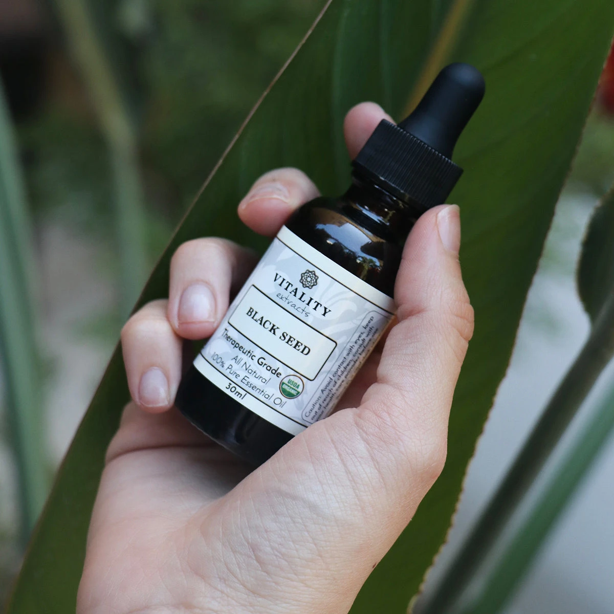 Black Seed Oil (Organic) - Image 3