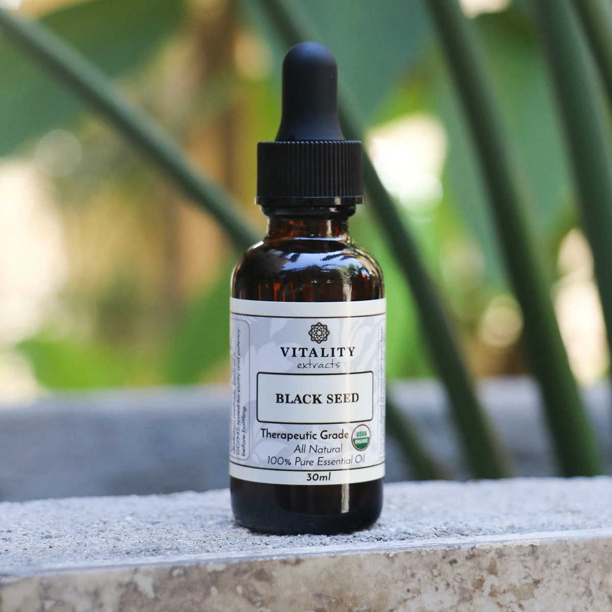 Black Seed Oil (Organic) - Image 2