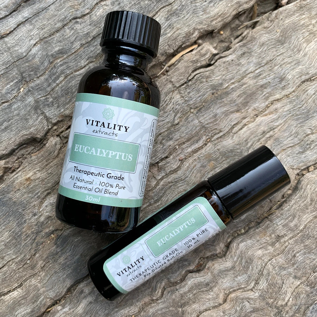 Eucalyptus - Image 7