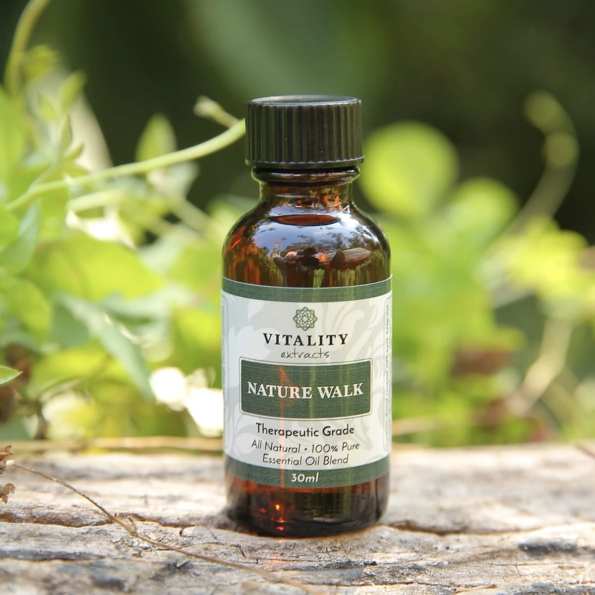 Nature Walk - Image 7