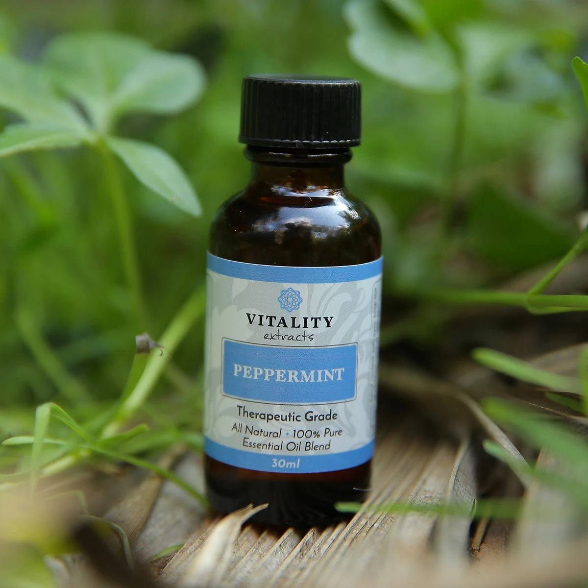 Peppermint - Image 5