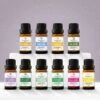 The Ultimate Essentials Bundle (10ml)