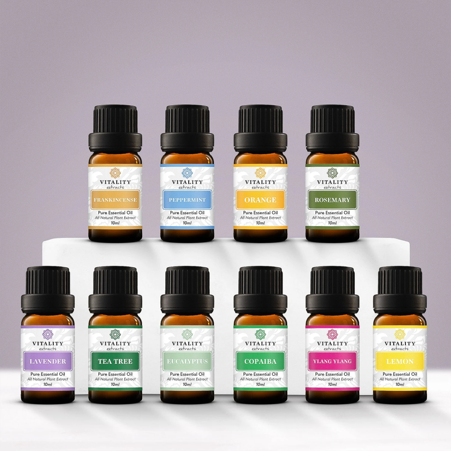 The Ultimate Essentials Bundle (10ml)