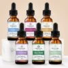 Big Value Starter Set (30ml)