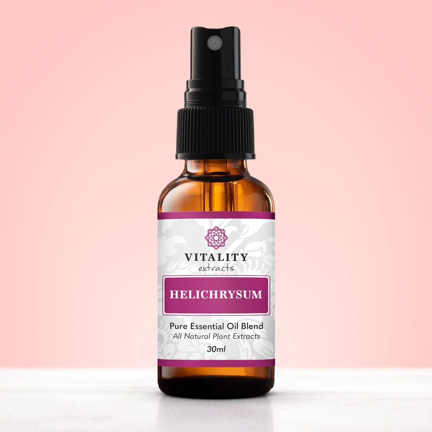 Helichrysum - Image 5